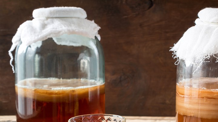 té fermentado kombucha