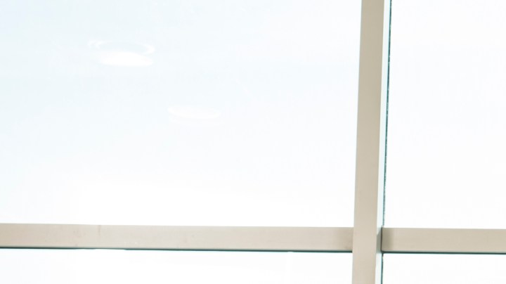 Qué hacer si te gusta un compañero de trabajo