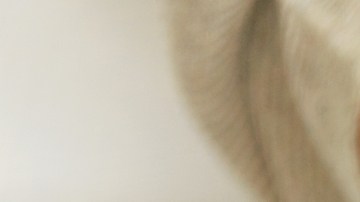 Medicamentos que engordan