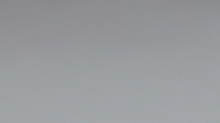 Infusiones para sustituir el café