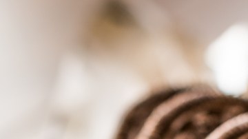 ultraprocesados cerebro