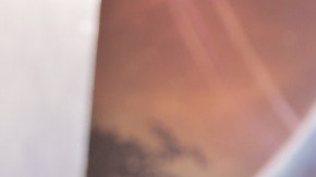 Ryan Reynolds colonoscopia