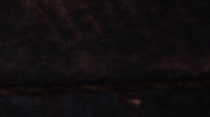 Cuáles son los alimentos con mayor contenido de colágeno