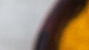 Cómo hacer un batido de cúrcuma, jengibre y manzana