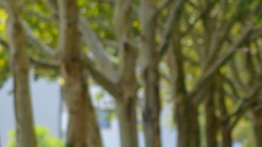 Diabetes tipo 2 ejercicio