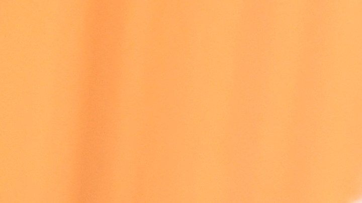 Por qué Elon Musk se volvió tan exitoso