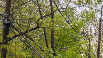 Huracán Ian en Florida