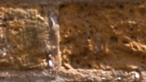 La dieta que mantenía la reina Isabel II