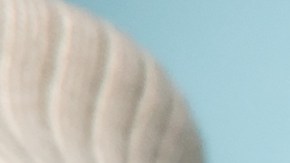 apendicitis: cuándo debes acudir al médico