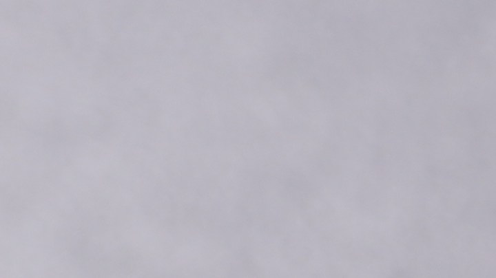 Té verde para adelgazar