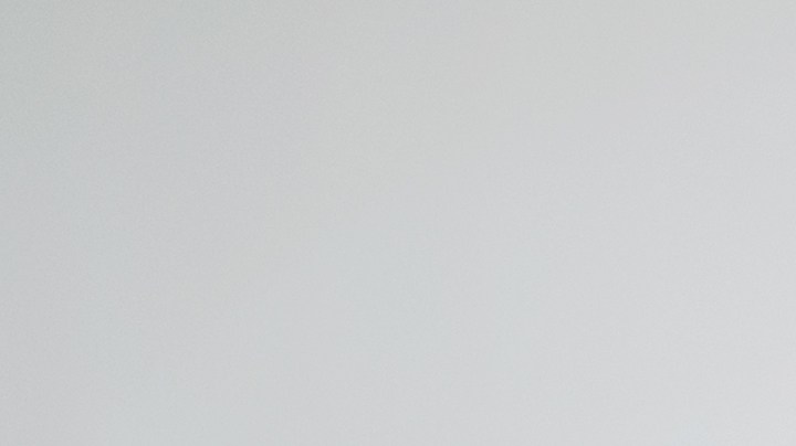 Cómo una mascota influye en tu relación