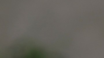 Consejos para mejorar tu perfil en una app de citas