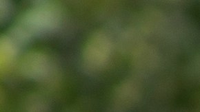 Alimentos para la inflamación de las articulaciones