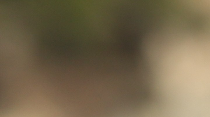 Cómo desintoxicarte de ti