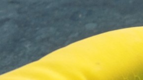 Objetos en casa que no debes limpiar con vinagre