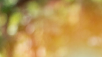 Enfermedad cardíaca