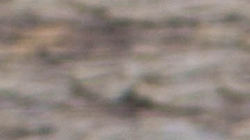 Cómo funciona el truco del limón congelado para bajar de peso