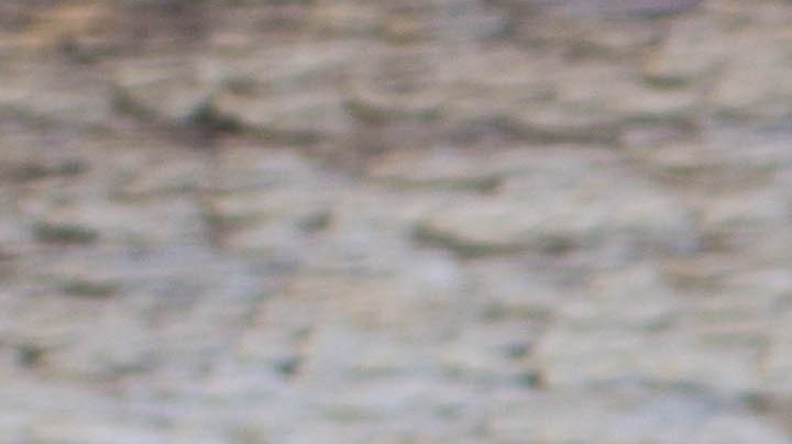 Cómo funciona el truco del limón congelado para bajar de peso