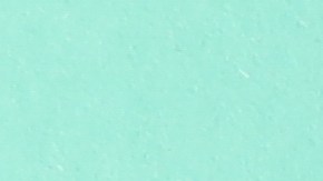 Trucos para limpiar con vodka