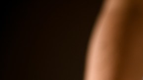 palo santo espacios limpiar malas vibras