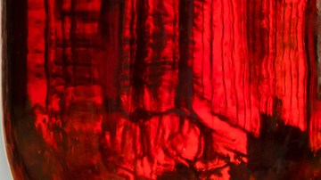 colibrí visite tu casa