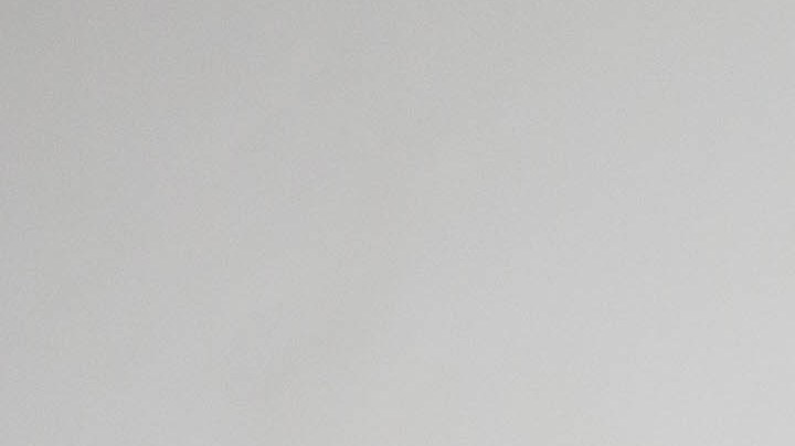 Cómo evitar que tu mascota dañe u orine los muebles usando Vicks Vaporub