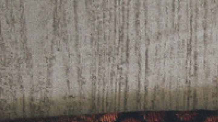 Tips para decorar tu mesa en Thanksgiving y atraer energías positivas