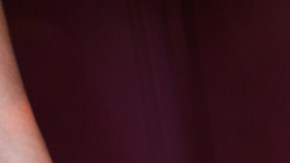 pavo seco thanksgiving