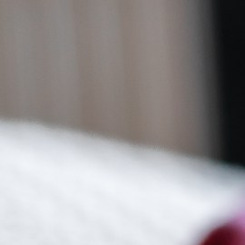 Cómo proteger a tu mascota del mal de ojo