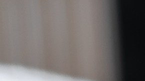 Cómo proteger a tu mascota del mal de ojo