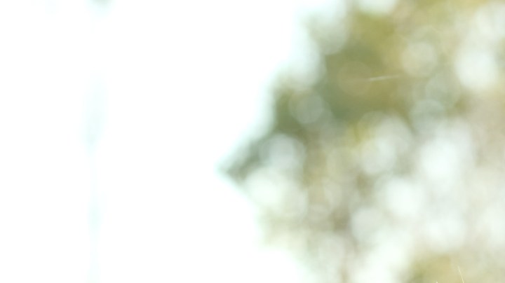 Qué hago si mi novio es feo y me da vergüenza