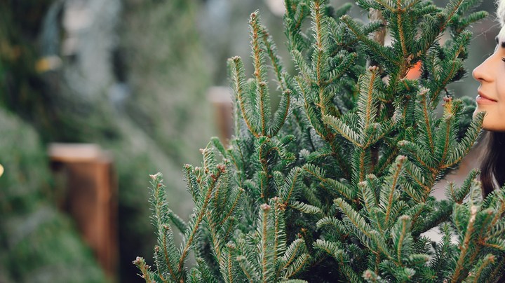 Árbol de Navidad casa