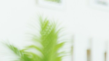 En qué consiste la obesofobia