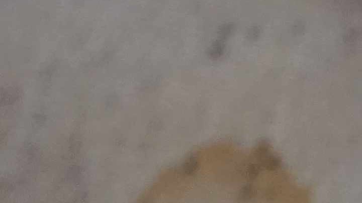 Remedios para quitar las manchas de moho en la ropa