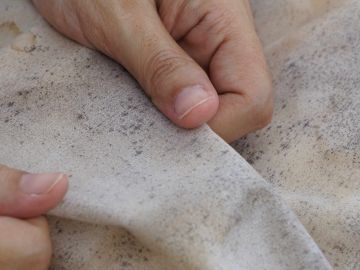 Cómo quitar manchas de moho en la ropa: 5 trucos caseros según el tipo de  ropa - Estar Mejor