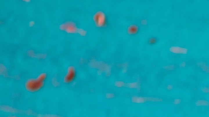 Ritual con chile picante para acabar con los chismes