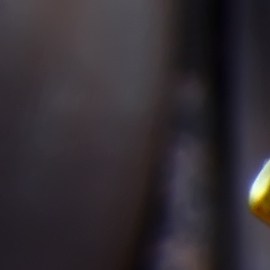 Tatuajes para atraer la buena suerte y el dinero