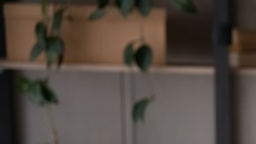 aliviar la tos en casa