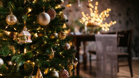 Dónde debes colocar tu árbol de Navidad para atraer dinero, amor y salud