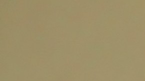 Cómo las aves pueden calmarte síntomas de ansiedad