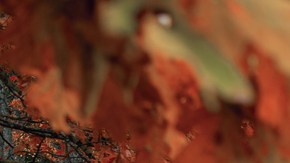 Caminar hacia atrás