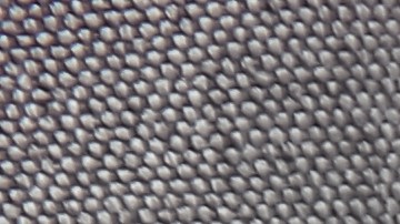 Cómo cocinar con aceite de coco y añadirlo en tus comidas