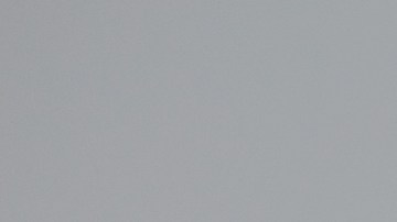 En qué consiste la dieta del león y cuán saludable es