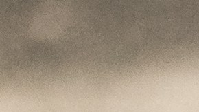 signos del elemento tierra