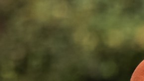 Qué es un polículo en el mundo del poliamor.