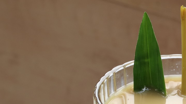 Cómo preparar leche con jengibre para la tos seca