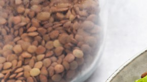 Lentejas germinadas
