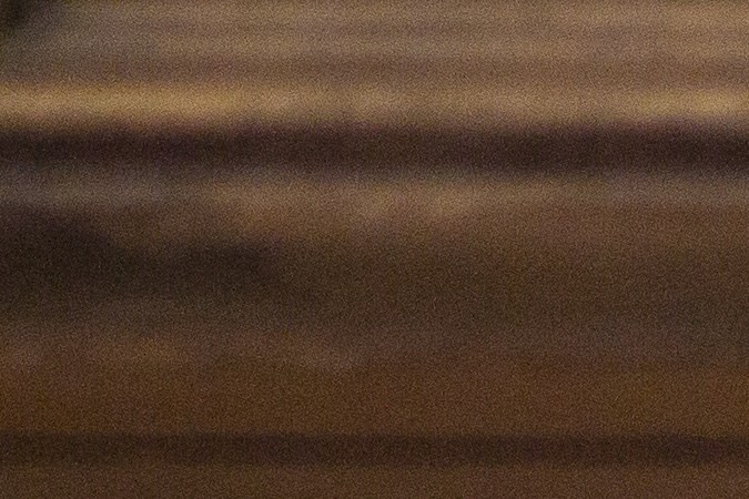 Consejos para proteger a tu mascota de la pirotecnia