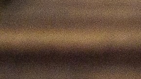 Consejos para proteger a tu mascota de la pirotecnia