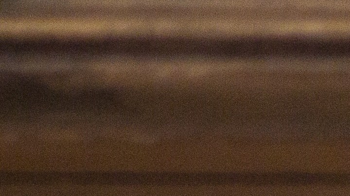 Consejos para proteger a tu mascota de la pirotecnia